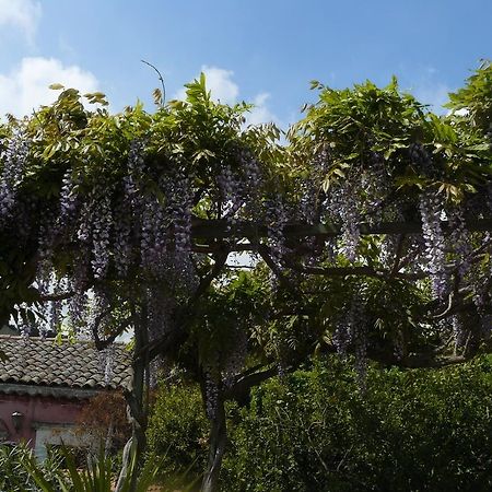 B&B Velardi Viagrande Bagian luar foto