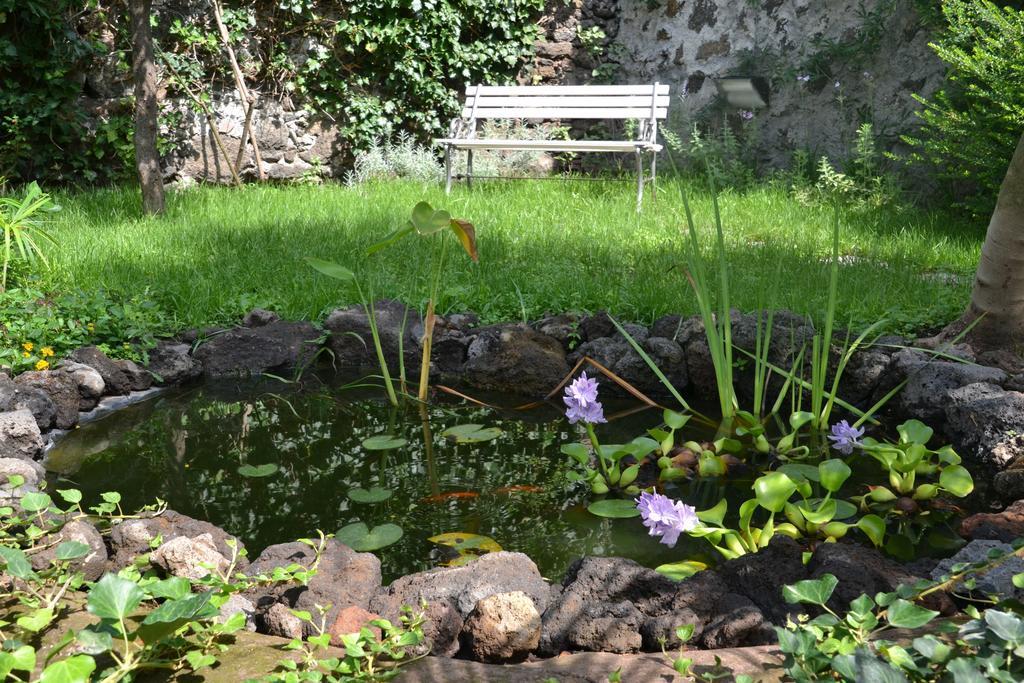 B&B Velardi Viagrande Bagian luar foto